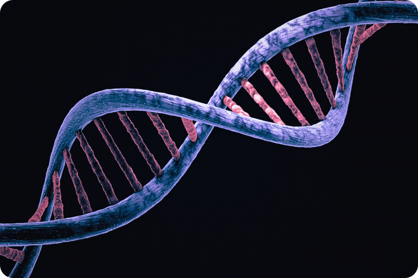 Genetic Engineering: to fear or not to fear?
